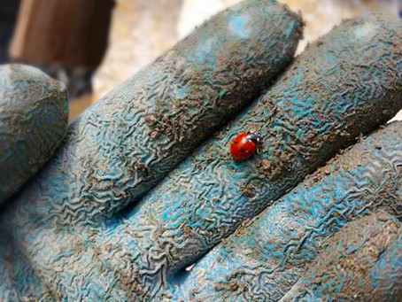 Small Treasures