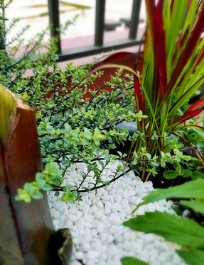beautiful pot.jpg